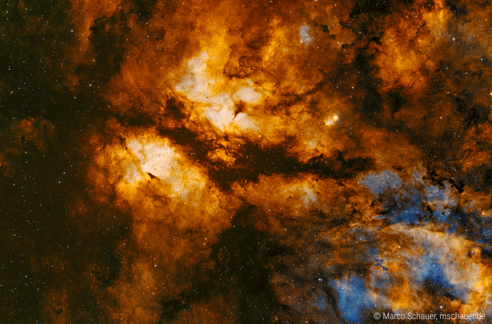 Butterfly nebula (IC 1318) in der Sadr Region