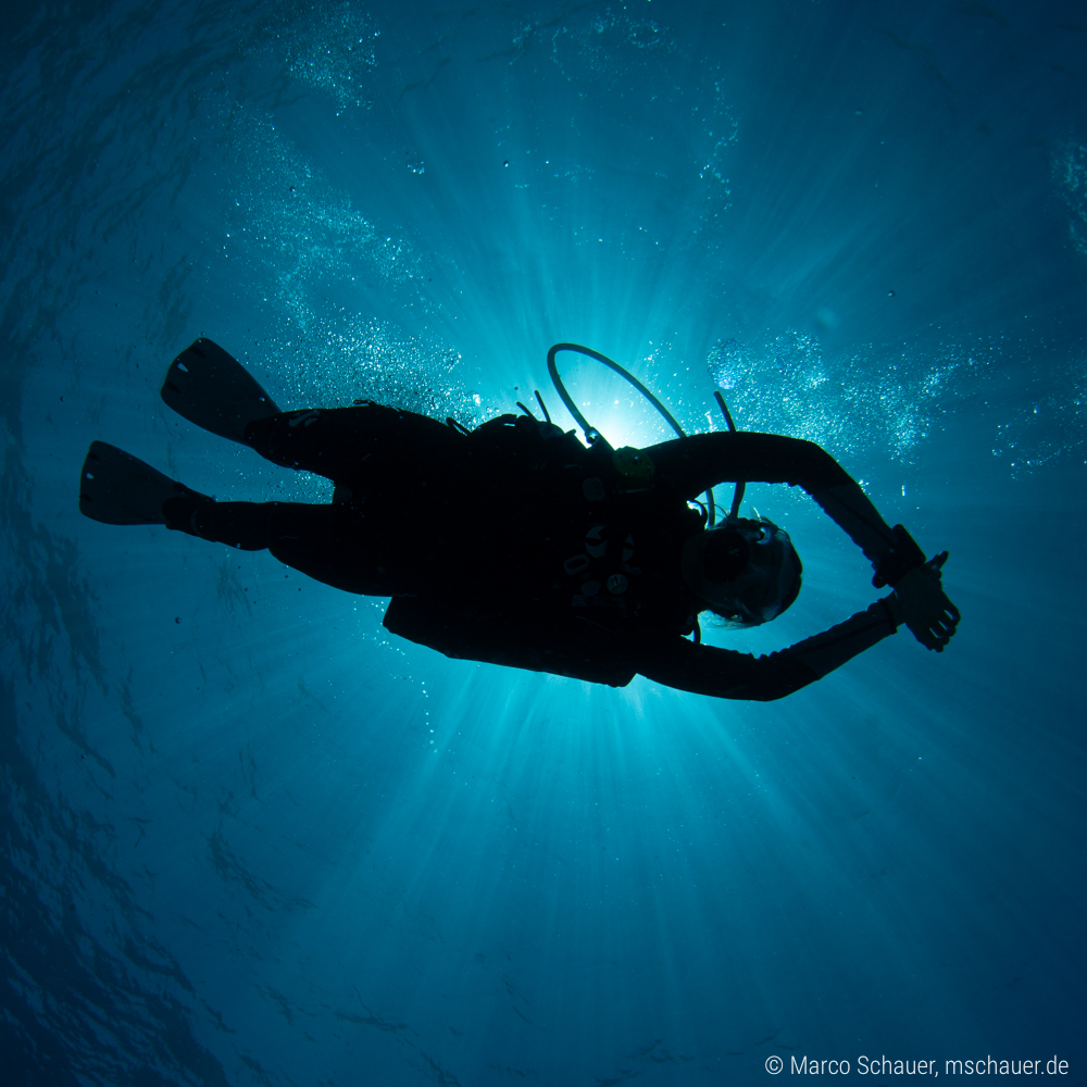 Suluette eines Tauchers vor der Sonne