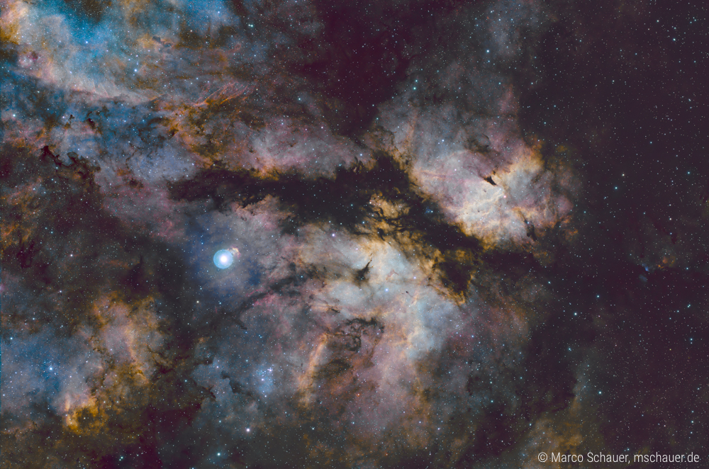 IC 1318 Butterfly nebula Sadr
